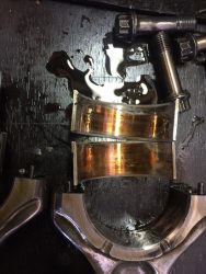 coussinet ducati